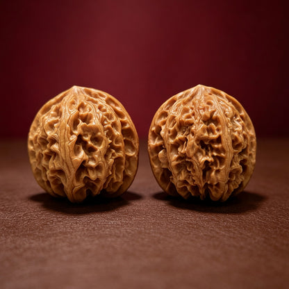 The "Apple Garden" Collector Pair | A-Grade Collector Tier | 39.0mm x 38.0mm | PGY-A-011694