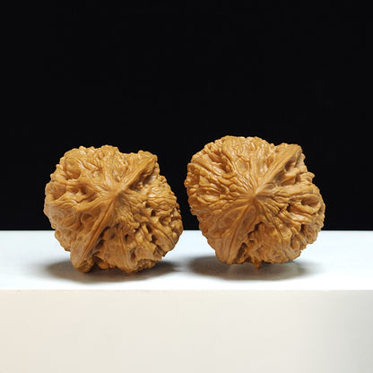 The "Spherical Peach-Heart Bison" Qiu Xing Tao Xin Ye Niu Pair | S-Grade Collector Tier | 37.0mm x 39.0mm | SZ-S-024365