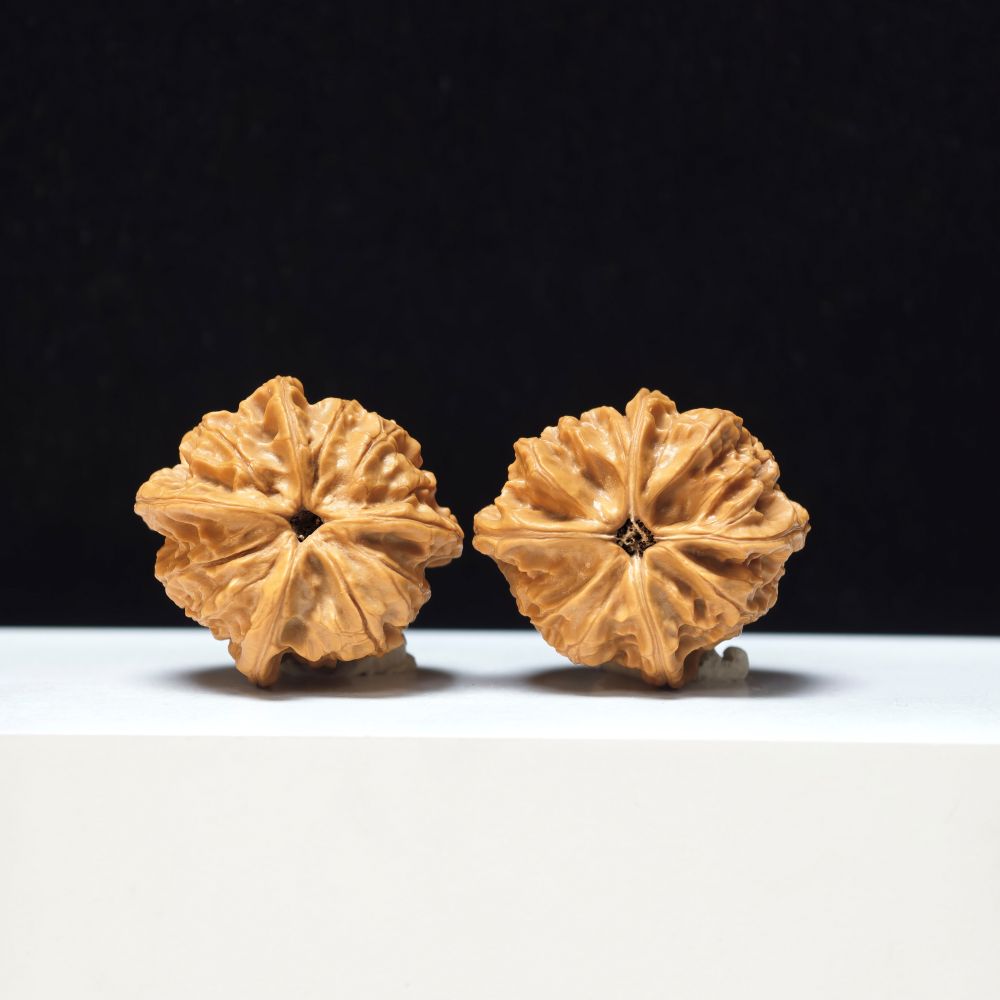 The "Imperial Jade Seal Four-Ribbed" Yu Xi Si Leng Exotic Collector Pair | Rare Form Tier | 38.0mm x 40.0mm | YX-E-129833