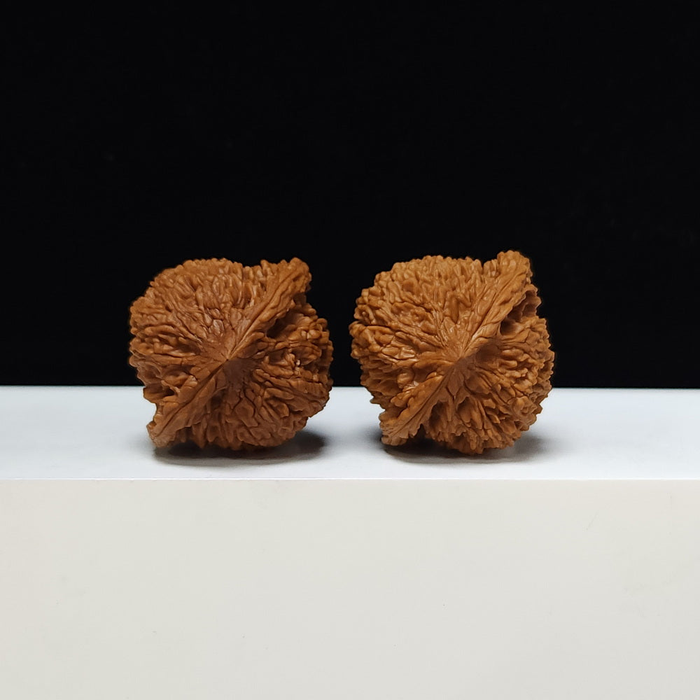 The "Starry Sky" Man Tian Xing Collector Pair | S-Grade Investment Tier | 43.0mm x 40.0mm | MTX-S-002319