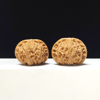 The "Lantern" Collector Pair | AA-Grade Collector Tier | 41.0mm x 36.0mm | SZ-AA-058713