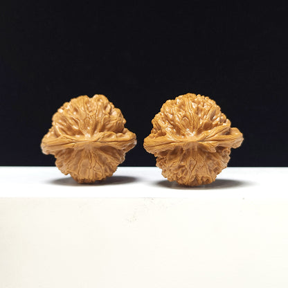 The "Lantern" Collector Pair | A-Grade Collector Tier | 41.0mm x 38.0mm | SZ-A-067711