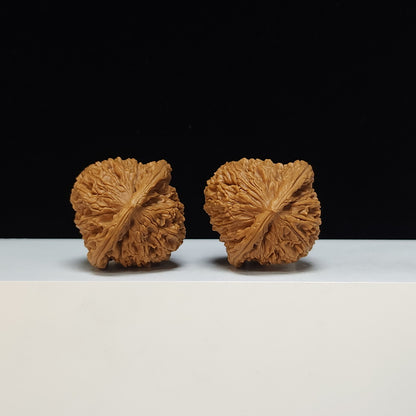 The "Water Dragon Texture" Shui Long Wen Lion's Head Collector Pair | S-Grade Investment Tier | 40.0mm x 39.0mm | SZ-S-034481