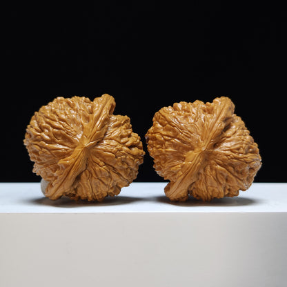 The "Sunken-Crown White Lion" Men Jian Bai Shi Zi Collector Pair | SS-Grade Masterpiece Tier | 42.0mm x 42.0mm | BSZ-SS-004368