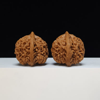 The "Peach-Heart Water Dragon" Tao Xin Shui Long Wen Lion's Head Pair | SSS-Grade Museum Tier | 43.0mm x 44.0mm | SZ-SSS-002486