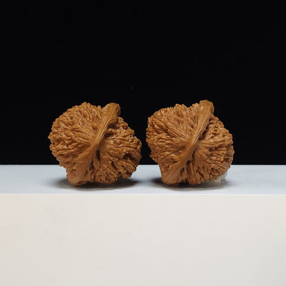 The "Peach-Heart Water Dragon" Tao Xin Shui Long Wen Lion's Head Pair | SSS-Grade Museum Tier | 43.0mm x 44.0mm | SZ-SSS-002486