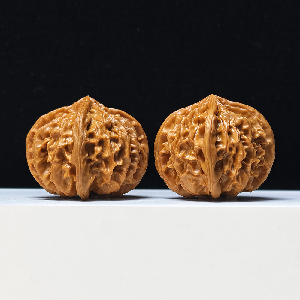 The "Four-Ribbed Coiled Dragon Tiger Head" Pan Long Hu Tou Si Leng Exotic Collector Pair | Rare Form Tier | 44.0mm x 50.0mm | YX-E-128832