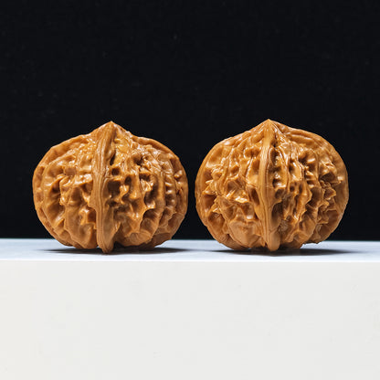The "Four-Ribbed Coiled Dragon Tiger Head" Pan Long Hu Tou Si Leng Exotic Collector Pair | Rare Form Tier | 44.0mm x 50.0mm | YX-E-128832
