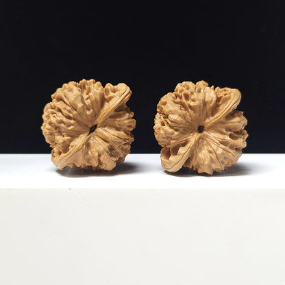 The "Official's Hat Guan Mao" Collector Pair | A-Grade Collector Tier | 44.0mm x 40.0mm | GM-A-024751