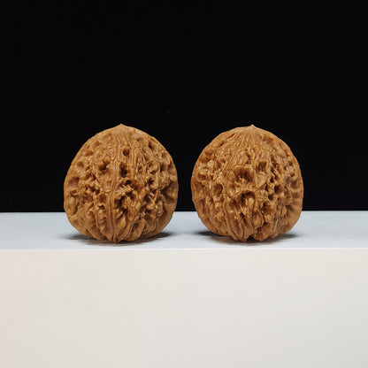 The "Water Dragon Texture" Shui Long Wen Lion's Head Collector Pair | S-Grade Investment Tier | 40.0mm x 39.0mm | SZ-S-034481