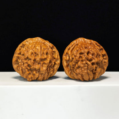 The "Dragon Tripod" Long Ding Imperial Sovereign Pair | SSS-Grade Museum Tier | 52.0mm x 51.0mm | GM-SSS-003802