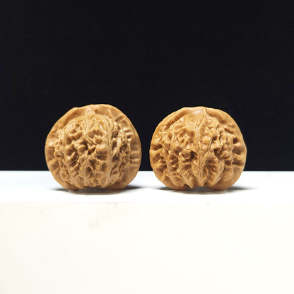 The "Deng Long Lantern" Collector Pair | A-Grade Collector Tier | 39.0mm x 34.0mm | DL-A-004717
