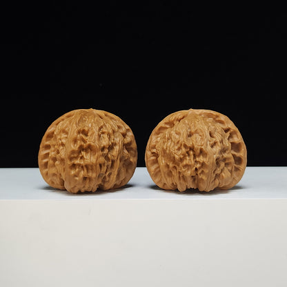 The White Lion Bai Shi Zi Collector Pair | S-Grade Investment Tier | 43.0mm x 40.0mm | BSZ-S-012493