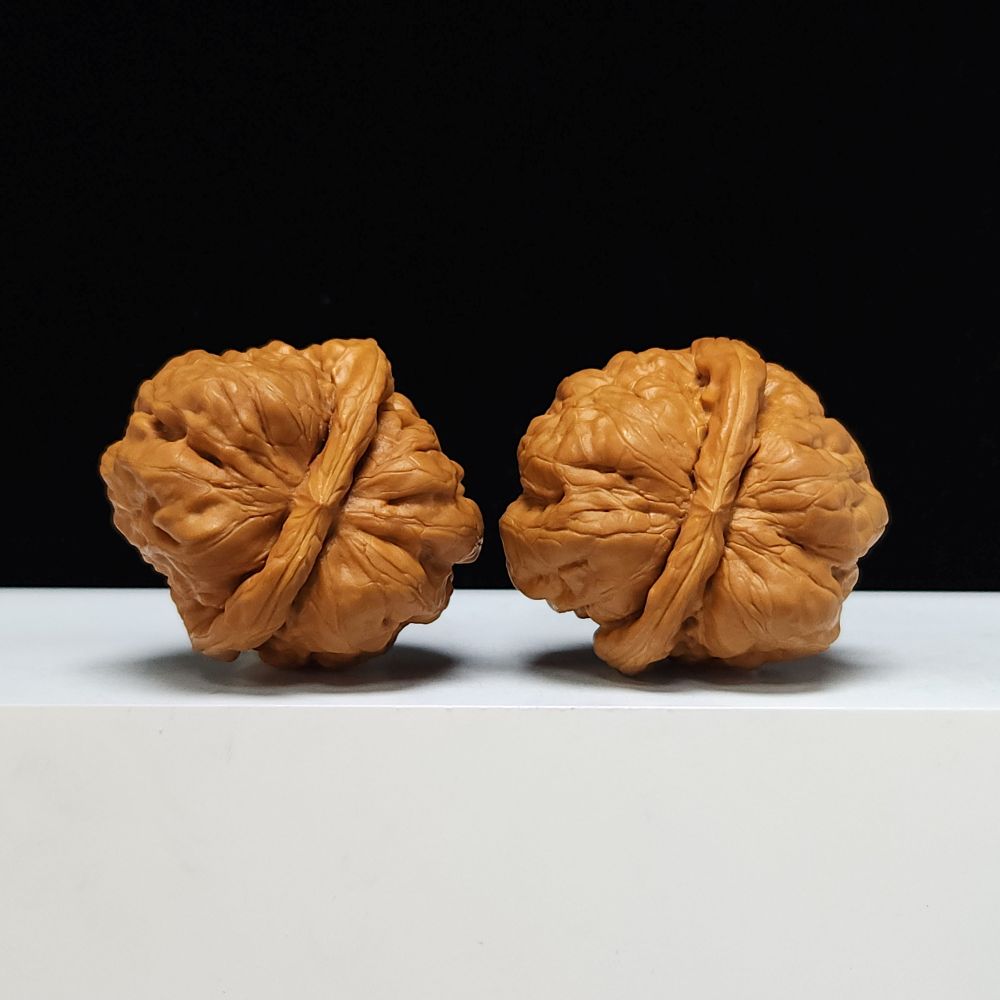 The "Toad Head" Ultimate Collector's Symmetrical Pair | 42.0mm x 43.0mm | HMT-SSS-001507