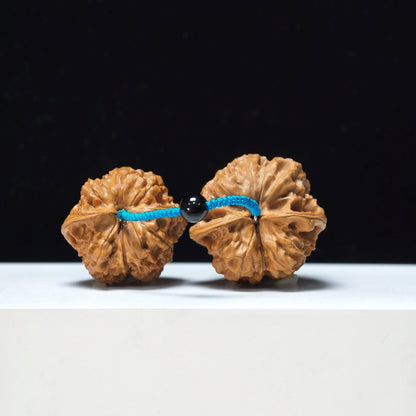 The "Thick-Veined Meteor Hammer" Cu Jin Liu Xing Chui Linked Exotic Pair | Rare Form Tier | 40.0x40.0mm & 37.0x34.0mm | YX-E-131835