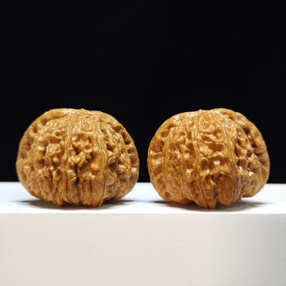 The "Sunken-Crown White Lion" Men Jian Bai Shi Zi Collector Pair | SS-Grade Masterpiece Tier | 42.0mm x 42.0mm | BSZ-SS-004368