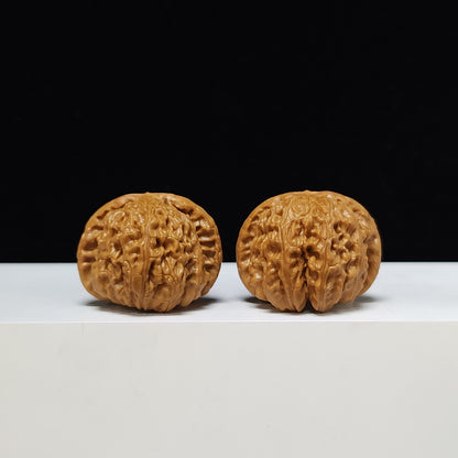 The "Sunken-Crown White Lion" Men Jian Bai Shi Zi Collector Pair | S-Grade Investment Tier | 39.0mm x 39.0mm | BSZ-S-003372