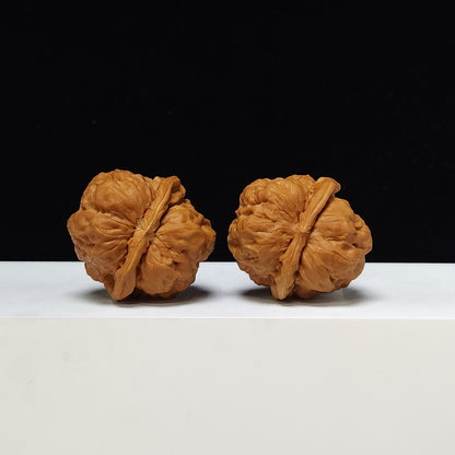 The "Red Shell Toad Head" (Hong Ke Ha Ma Tou) Ultimate Symmetrical Pair | 41.0mm x 42.0mm | HMT-SS-001508