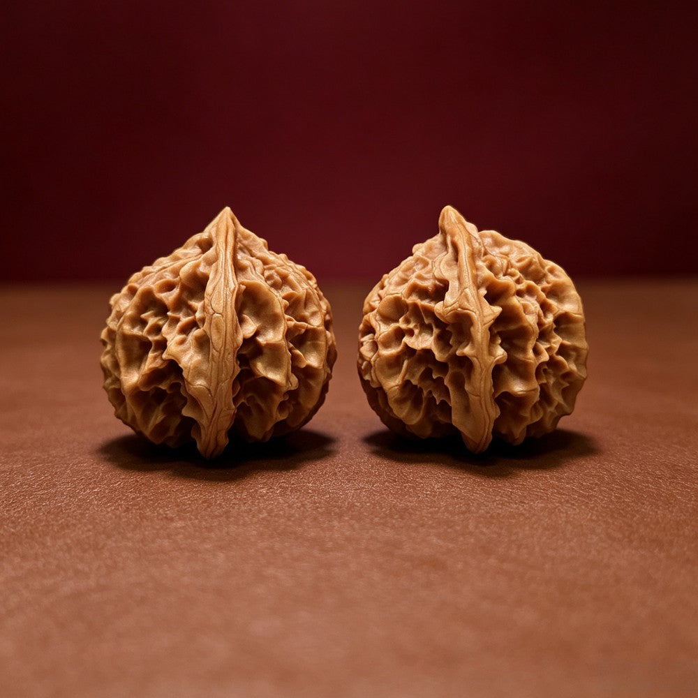 The "Deng Long Lantern" Collector Pair | A-Grade Collector Tier | 43.0mm x 43.0mm | DL-A-005718
