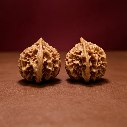 The "Deng Long Lantern" Collector Pair | A-Grade Collector Tier | 43.0mm x 43.0mm | DL-A-005718