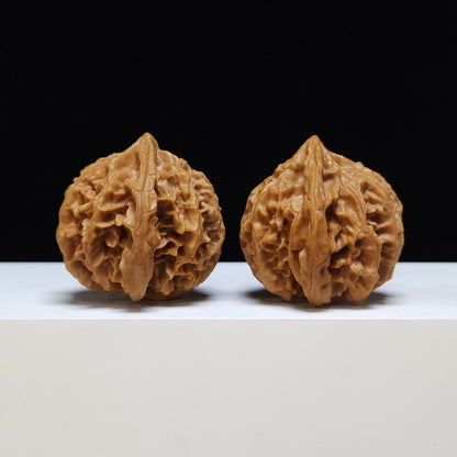 The "Peach Heart Lantern" Deng Long Lion's Head Pair | S-Grade Collector Tier | 44.0mm x 41.0mm | SZ-S-020353