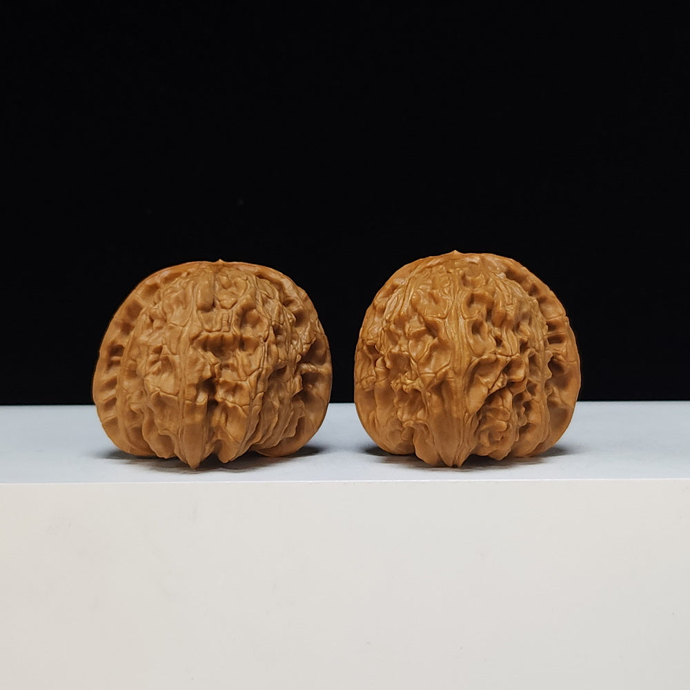 The White Lion Bai Shi Zi Collector Pair | S-Grade Investment Tier | 42.0mm x 42.0mm | BSZ-S-014497