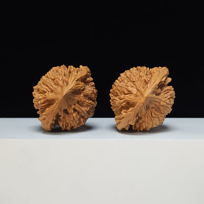 The "Qilin Texture Concave-Base Peach-Heart" Qi Lin Wen Tao Xin Ao Di Lion's Head Pair | SS-Grade Masterpiece Tier | 51.0mm x 44.0mm | SZ-SS-015488
