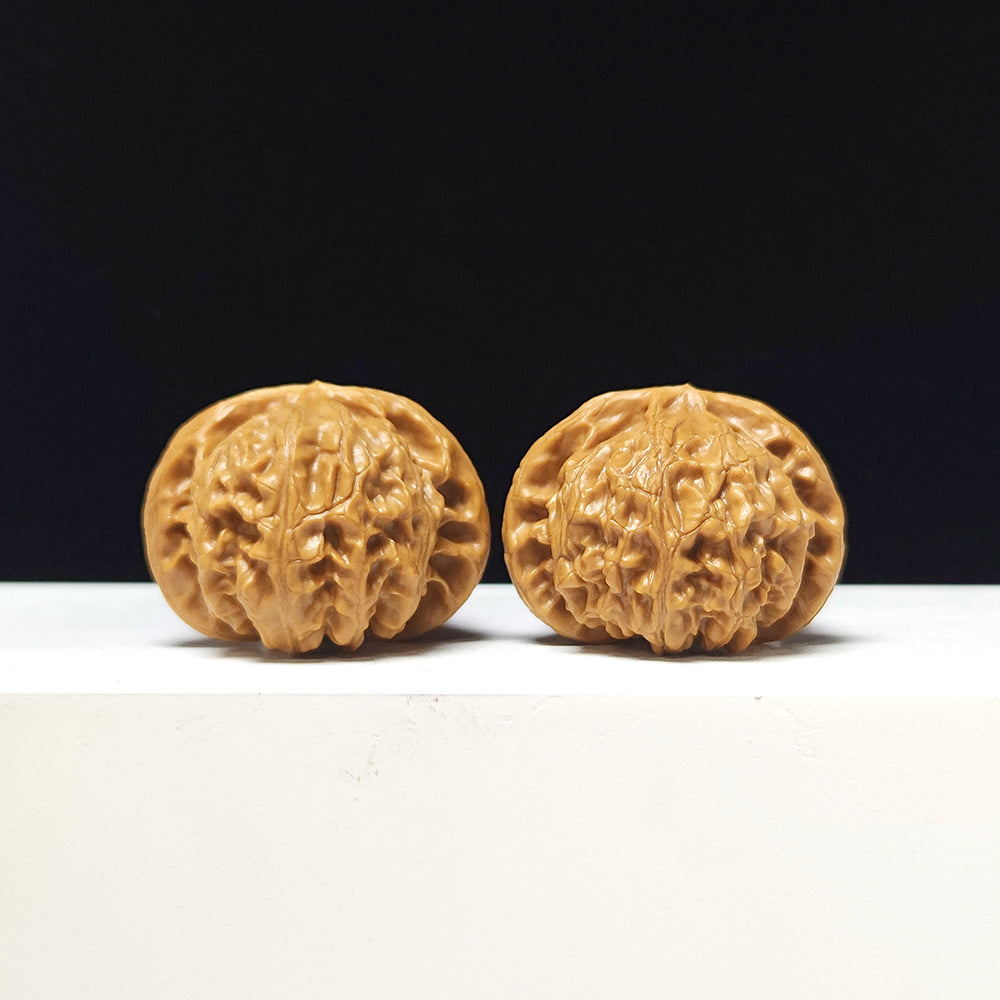 The "Lantern" Collector Pair | AA-Grade Collector Tier | 41.0mm x 41.0mm | SZ-AA-057712