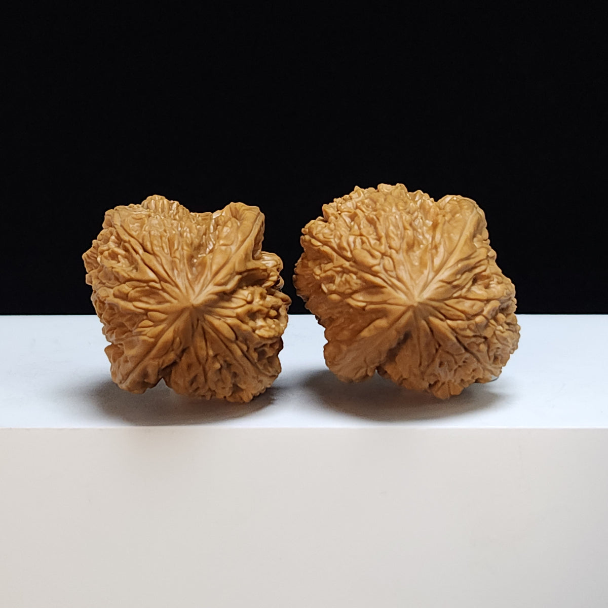 The "Blizzard Angel Wings" Bao Xue Tian Shi Zhi Yi Pair | S-Grade Collector Tier | 38.0mm x 40.0mm | BX-S-002360