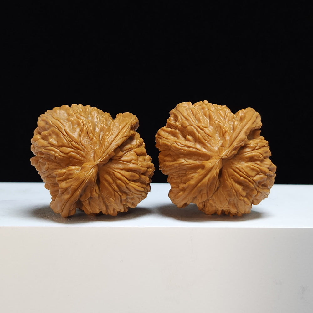 The "Low-Apex Spherical White Lion" (Men Jian Qiu Xing Bai Shi Zi) Exhibition-Grade Symmetrical Pair | 41.0mm x 44.0mm | BSZ-SS-008446