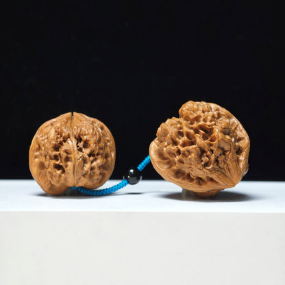 The "Thick-Veined Meteor Hammer" Cu Jin Liu Xing Chui Linked Exotic Pair | Rare Form Tier | 40.0x40.0mm & 37.0x34.0mm | YX-E-131835
