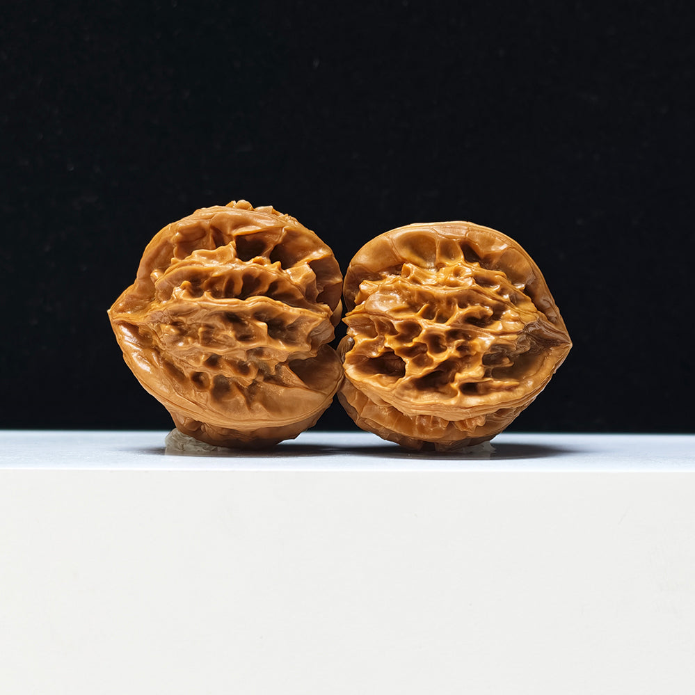 The "Four-Ribbed Coiled Dragon Tiger Head" Pan Long Hu Tou Si Leng Exotic Collector Pair | Rare Form Tier | 44.0mm x 50.0mm | YX-E-128832