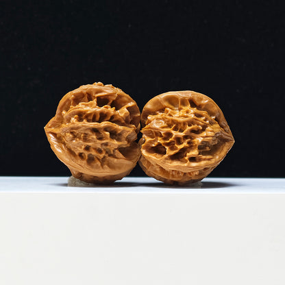 The "Four-Ribbed Coiled Dragon Tiger Head" Pan Long Hu Tou Si Leng Exotic Collector Pair | Rare Form Tier | 44.0mm x 50.0mm | YX-E-128832