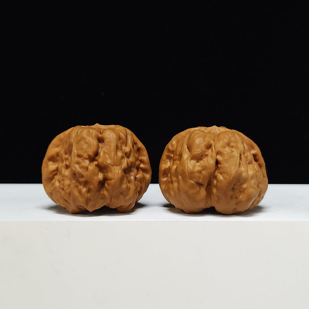 The "Toad Head" Ultimate Collector's Symmetrical Pair | 42.0mm x 43.0mm | HMT-SSS-001507