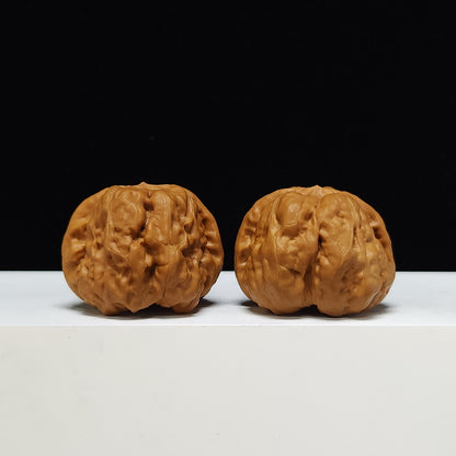 The "Toad Head" Ultimate Collector's Symmetrical Pair | 42.0mm x 43.0mm | HMT-SSS-001507