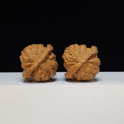 The "Spherical Round" Bai Shi Zi Lion's Head Pair | SS-Grade Masterpiece Tier | 44.0mm x 42.0mm | BSZ-SS-012496