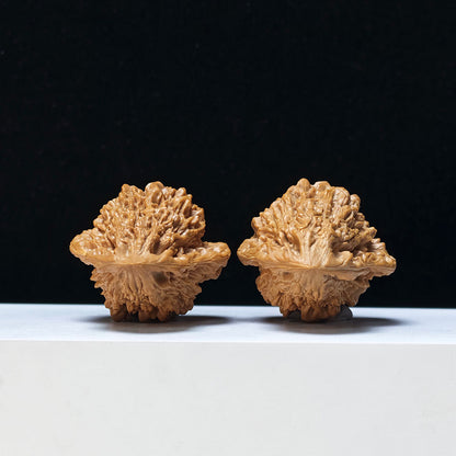 The "Qilin-Grained Grand Gourd" Qi Lin Wen Da Hu Lu Exotic Collector Pair | Rare Form Tier | 48.0mm x 44.0mm | YX-E-134838