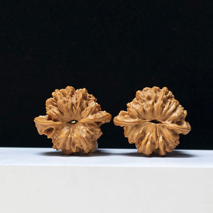 The "Qilin-Grained Grand Gourd" Qi Lin Wen Da Hu Lu Exotic Collector Pair | Rare Form Tier | 48.0mm x 44.0mm | YX-E-134838