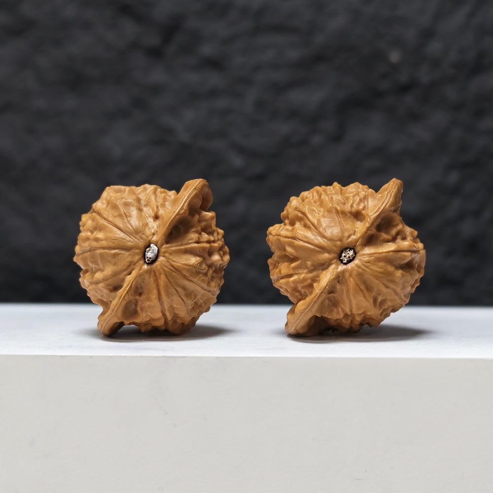 Porcelain Doll" Ci Wa Wa GM-SS-003479 Masterpiece Wenwan Walnuts Pair | 40.0mm x 34.0mm | GM-SS-003479