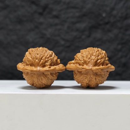 Porcelain Doll" Ci Wa Wa GM-SS-003479 Masterpiece Wenwan Walnuts Pair | 40.0mm x 34.0mm | GM-SS-003479