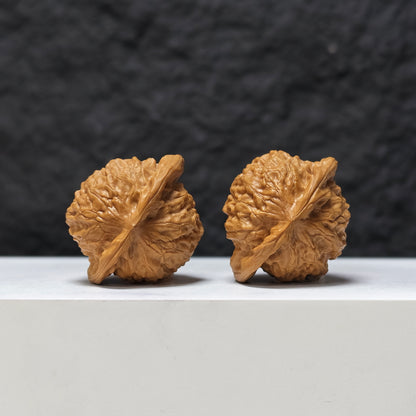 Porcelain Doll" Ci Wa Wa GM-SS-003479 Masterpiece Wenwan Walnuts Pair | 40.0mm x 34.0mm | GM-SS-003479