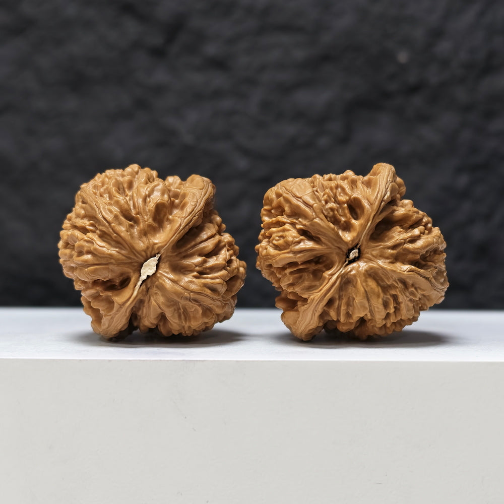 "Red Koi" Hong Jin Li HT-SS-003474 Masterpiece Wenwan Walnuts Pair | 41.0mm x 42.0mm | HT-SS-003474