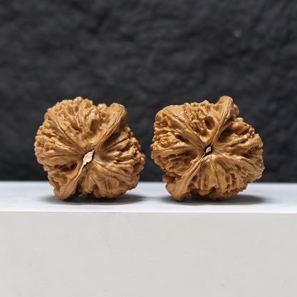 "Red Koi" Hong Jin Li HT-SS-003474 Masterpiece Wenwan Walnuts Pair | 41.0mm x 42.0mm | HT-SS-003474