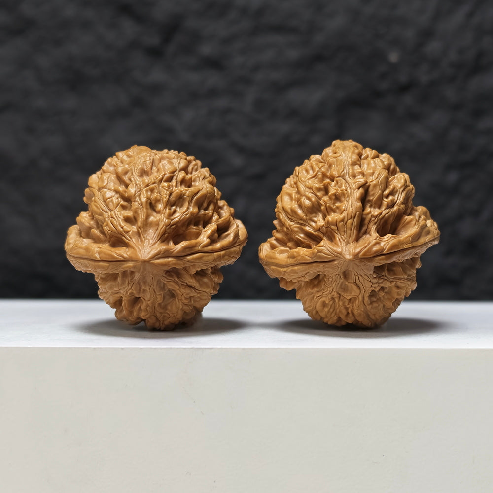 "Red Koi" Hong Jin Li HT-SS-003474 Masterpiece Wenwan Walnuts Pair | 41.0mm x 42.0mm | HT-SS-003474