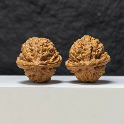"Red Koi" Hong Jin Li HT-SS-003474 Masterpiece Wenwan Walnuts Pair | 41.0mm x 42.0mm | HT-SS-003474