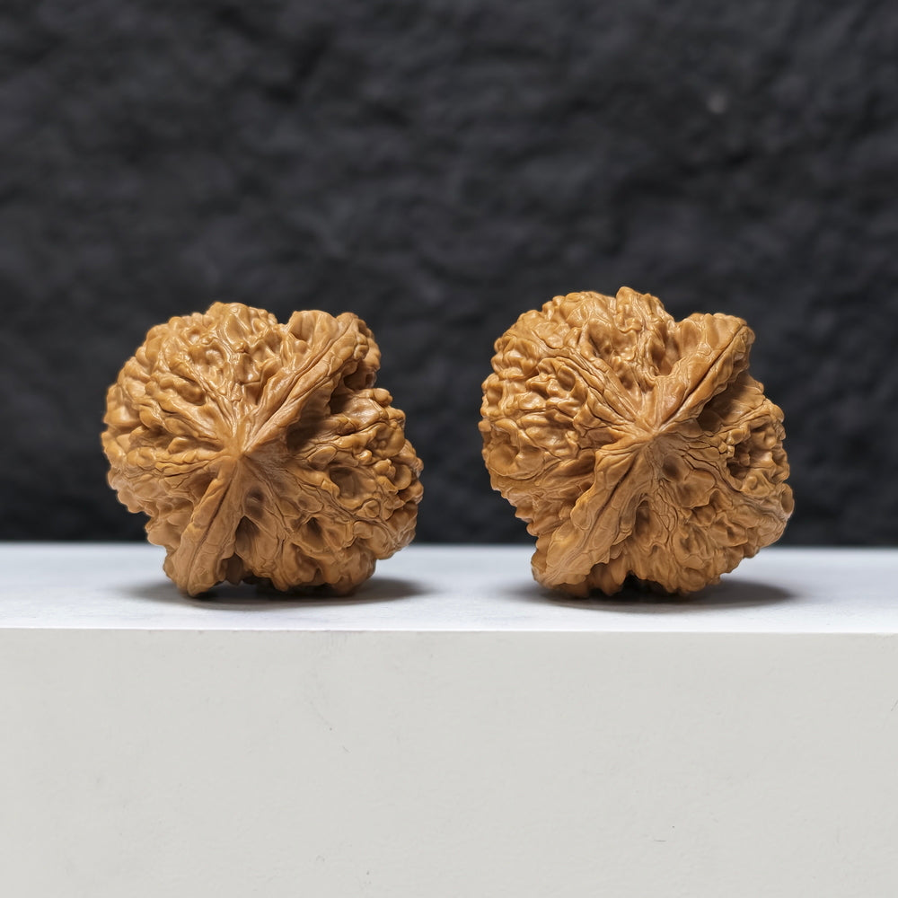 "Red Koi" Hong Jin Li HT-SS-003474 Masterpiece Wenwan Walnuts Pair | 41.0mm x 42.0mm | HT-SS-003474