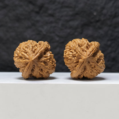 "Red Koi" Hong Jin Li HT-SS-003474 Masterpiece Wenwan Walnuts Pair | 41.0mm x 42.0mm | HT-SS-003474