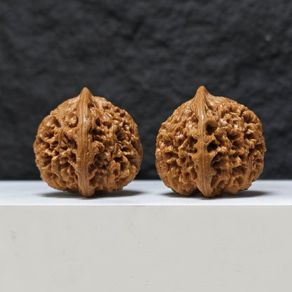 "Peach Heart Water Dragon" Tao Xin Shui Long Wen Masterpiece Wenwan Walnuts Pair | 43.0mm x 44.0mm | SZ-SSS-002486