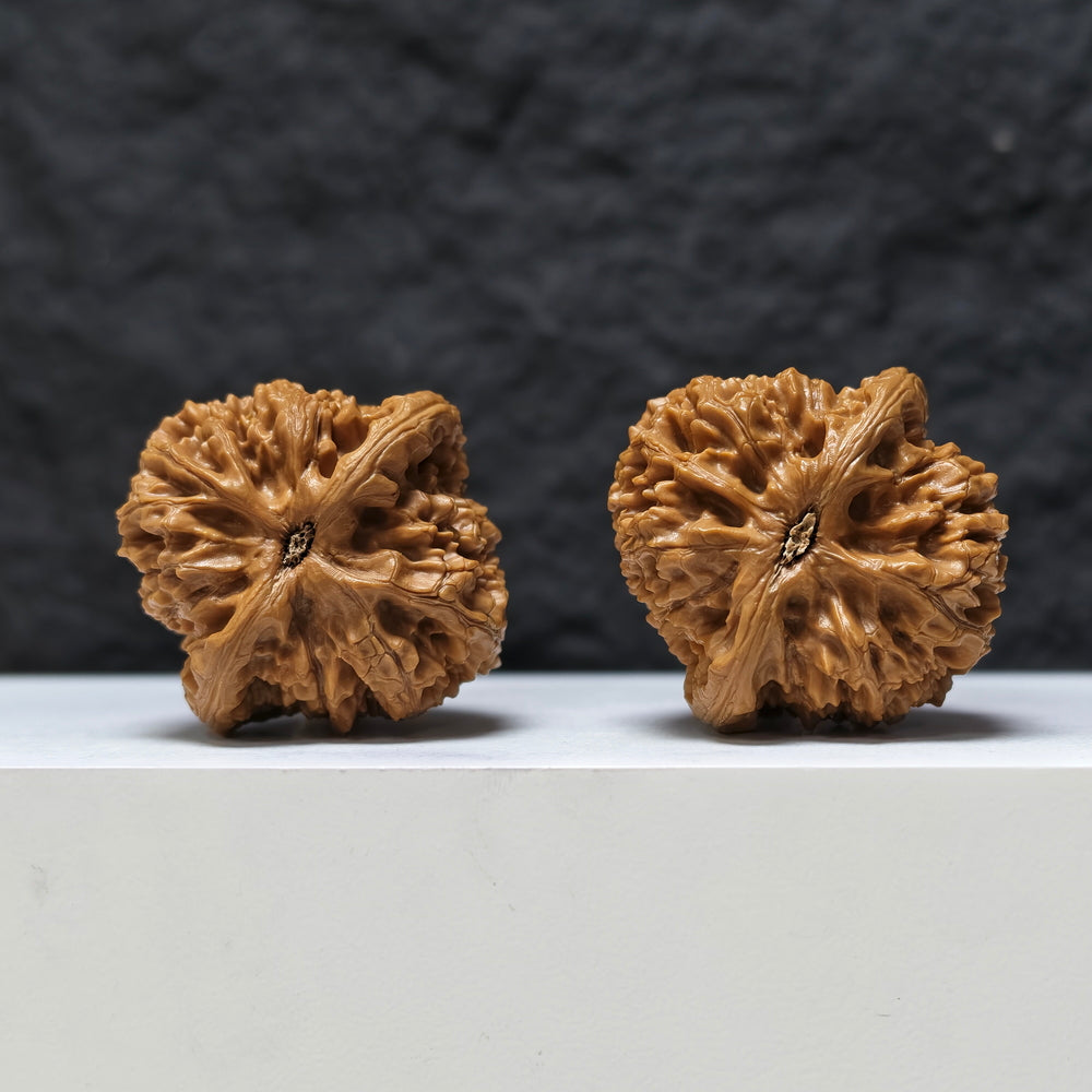 "Peach Heart Water Dragon" Tao Xin Shui Long Wen Masterpiece Wenwan Walnuts Pair | 43.0mm x 44.0mm | SZ-SSS-002486