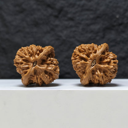 "Peach Heart Water Dragon" Tao Xin Shui Long Wen Masterpiece Wenwan Walnuts Pair | 43.0mm x 44.0mm | SZ-SSS-002486